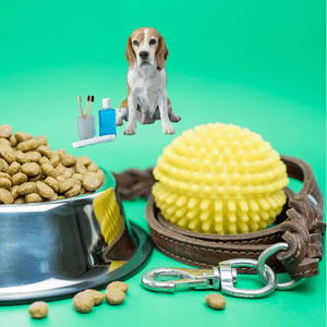 Pet Supplies
