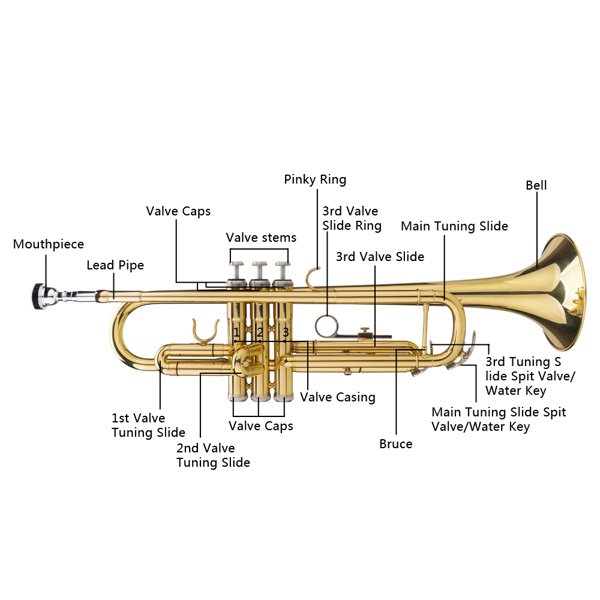 Drop B Tone Adjustable Trumpet Gloves Set Plaint Golden - Image 2