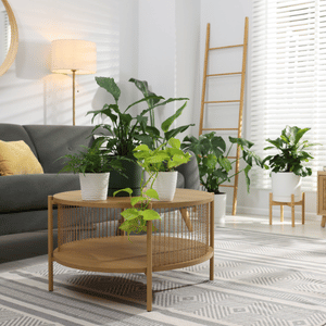 Home, Garden & Furniture