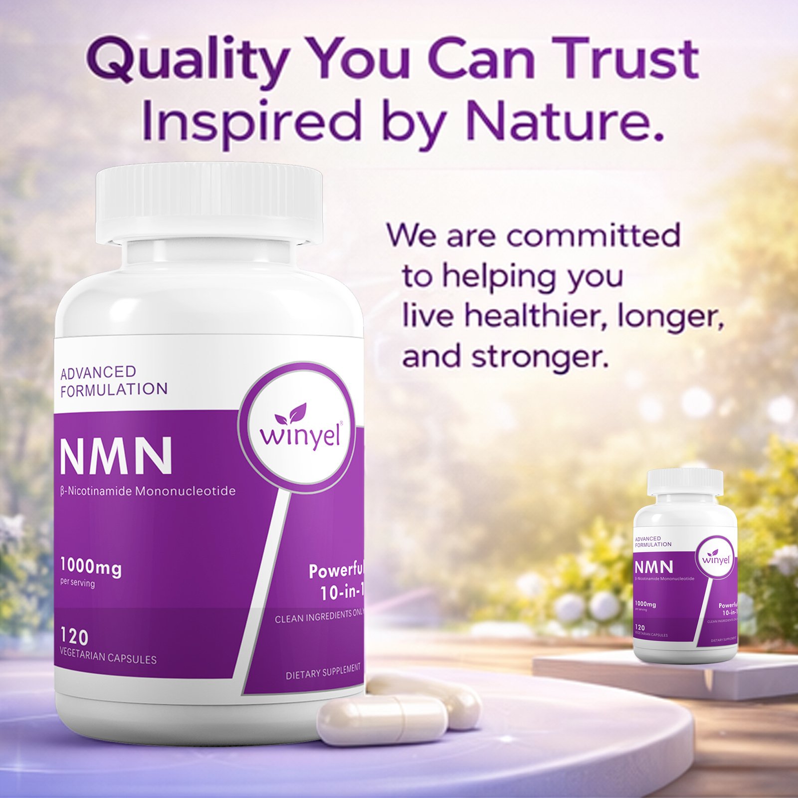 WINYEL Cellular Energy Complex Per Serving, 10-in-1 Formula, Zero Filler, With Vitamin C, Resveratrol, CoQ10, TMG, Quercetin & Glutathione Capsules - Image 6
