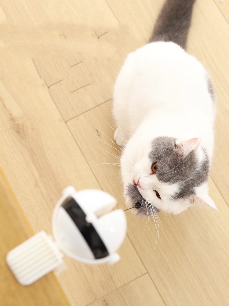Electric Automatic Lifting Motion Cat Toy Interactive Puzzle Smart Pet Cat Teaser Ball Pet Supply Lifting Toys - Image 5