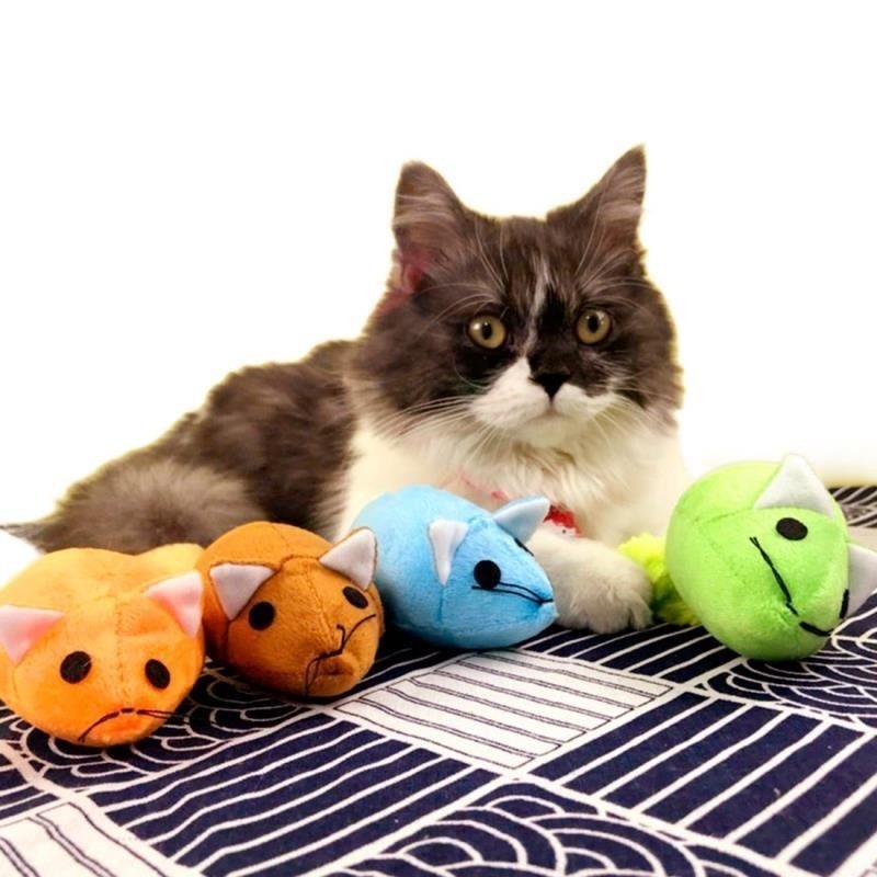 Long Tail Mouse Cat Teaster Toys Funny Pet Toys Cat Toys Mouse Trainning Funny Playing Toys Interactive Pets Products - Image 3