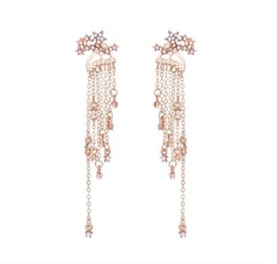 Shining Star Tassel Earrings Back Hanging Exquisite Earrings - Image 8